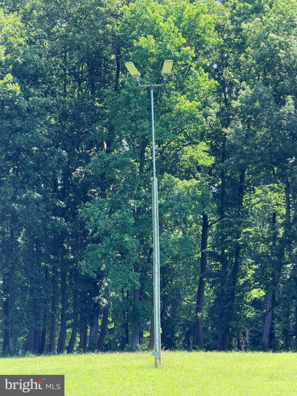 586 Zeitler Road Elkton, MD 21921 - Photo 52 of 55 Illuminating nature's tranquility.