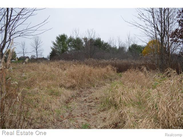 Par B Musson Road Howell, MI 48855 - Photo 21 of 28