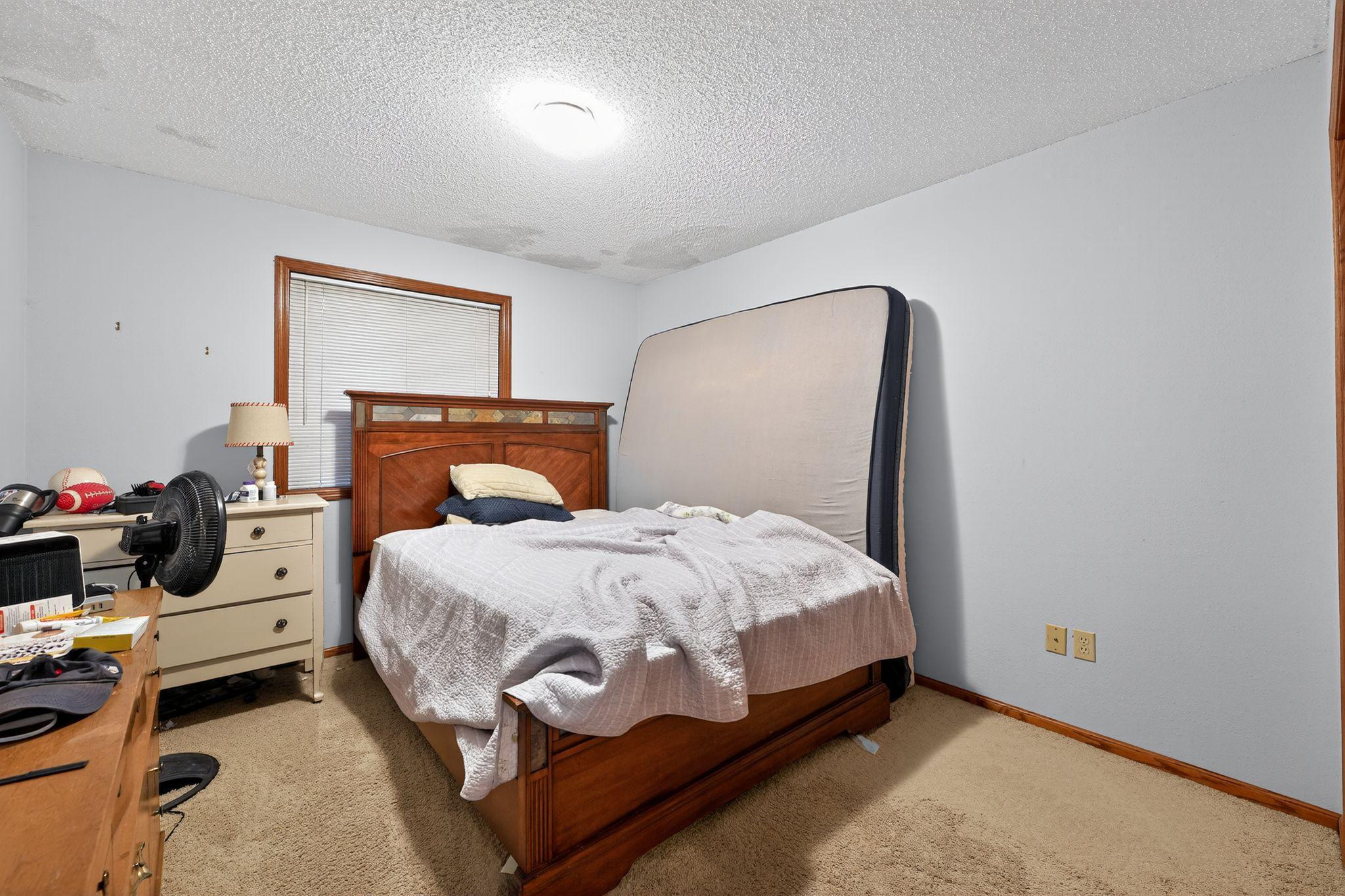 1567 County Road 7 Balaton, MN 56115 - Photo 14 of 24