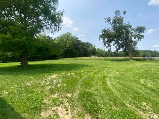 a view of a field with a tree in the background