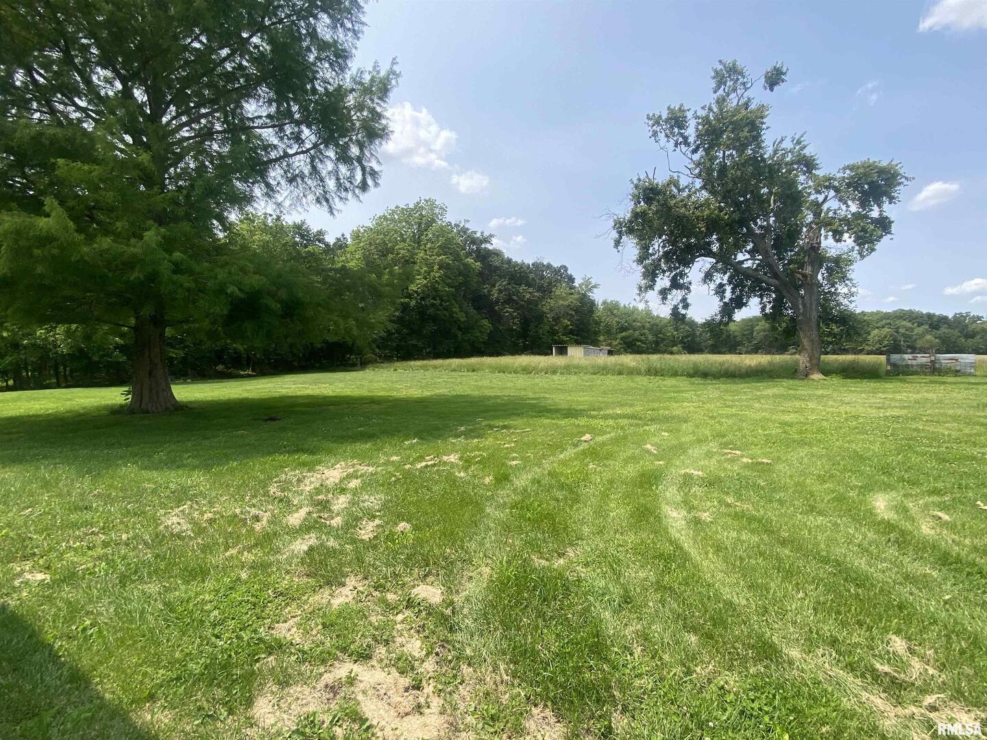22545 Thompsonville Lake Road Thompsonville, IL 62890 - Photo 21 of 38 a view of a field with a tree in the background