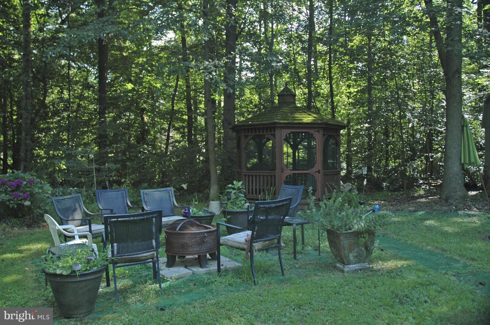 1536 Elk Forest Road Elkton, MD 21921 - Photo 6 of 23 Fire Pit #1