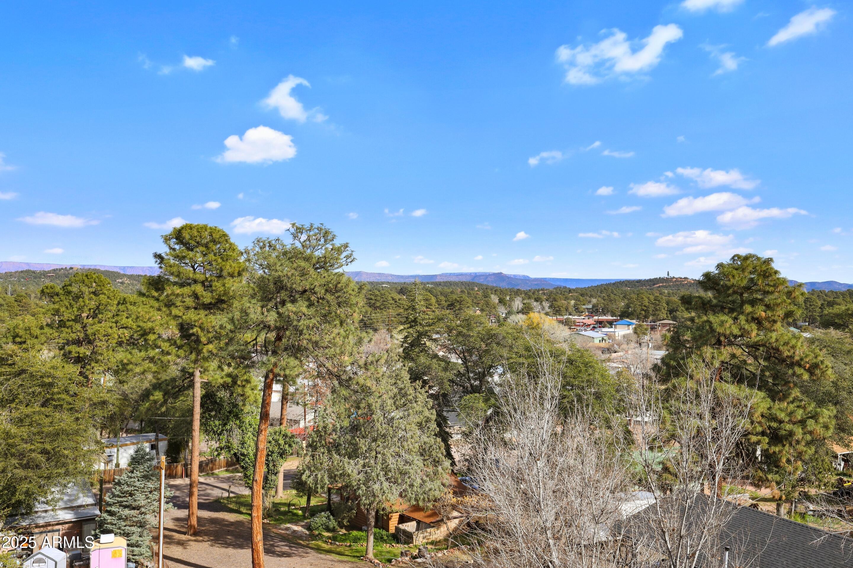 308 West Rim View Road Payson, AZ 85541 - Photo 30 of 57 More Views