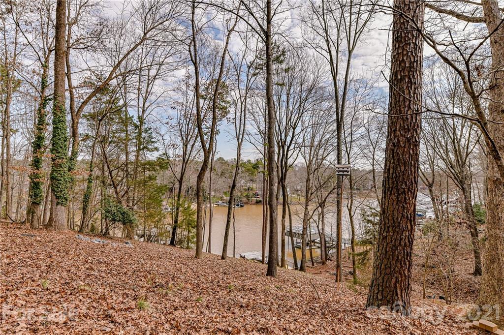 2023 Marquesas Avenue Tega Cay, SC 29708 - Photo 28 of 30