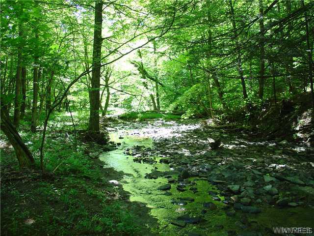 0 Phillips Brook Road Randolph, NY 14772 - Photo 1 of 1 Land