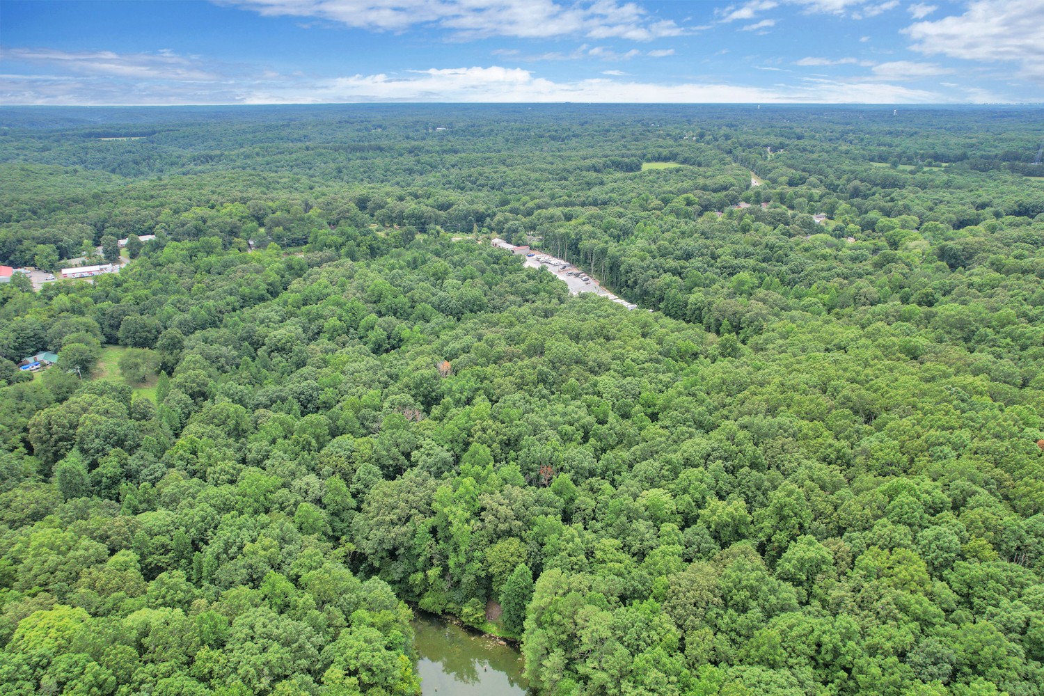 0 Fairview Boulevard Fairview, TN 37062 - Photo 5 of 6 a view of outdoor space and yard