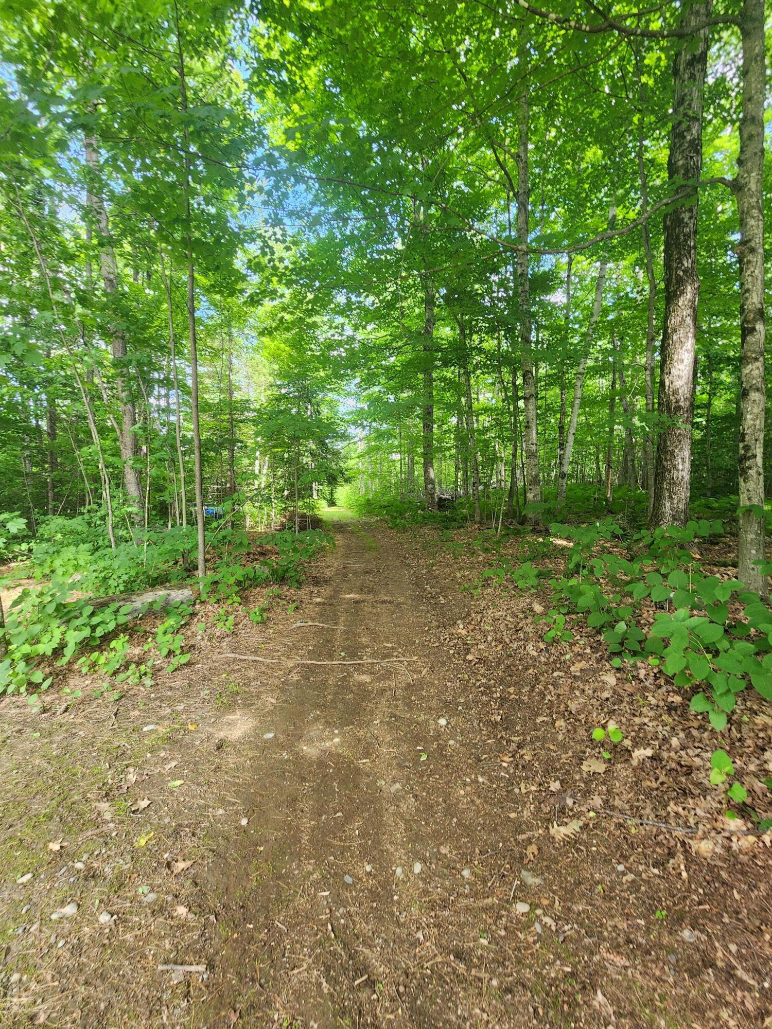 169 Warren Hill Road Smithfield, ME 04978 - Photo 10 of 55 10