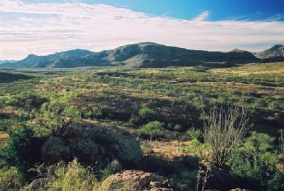 95 Poorwill Canyon Road Rio Rico, AZ 85648 - Photo 2 of 9