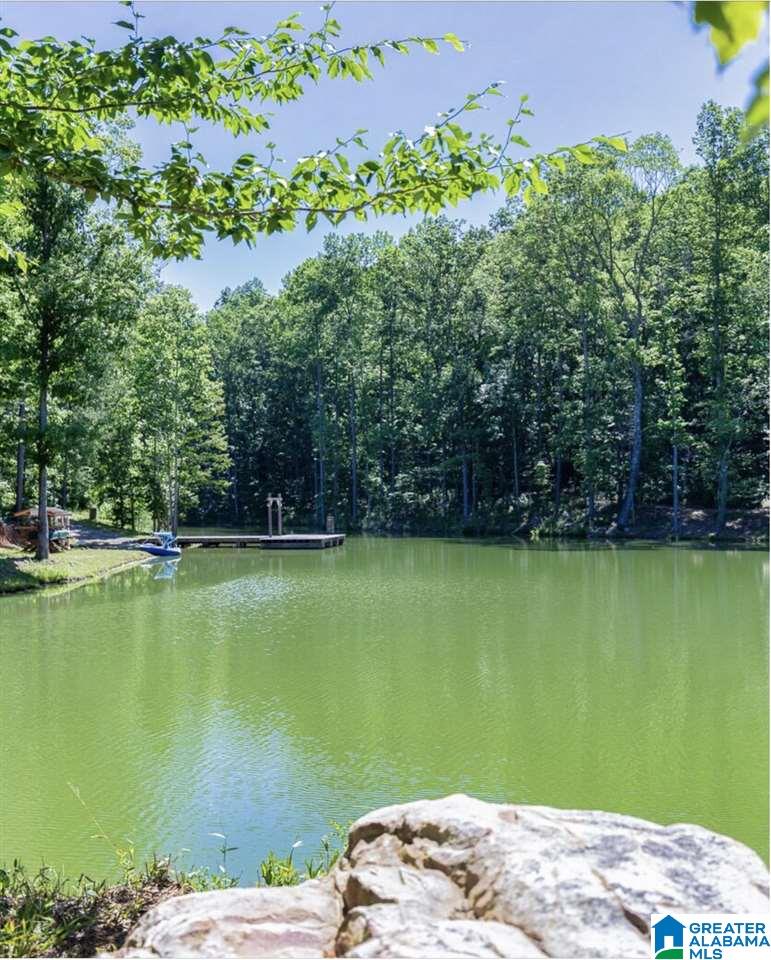 3024 Oakridge Way Chelsea, AL 35043 - Photo 46 of 50