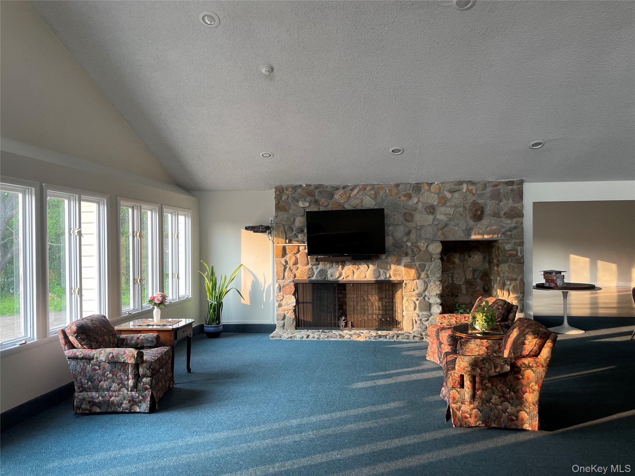 14 Chipmunk Trail Coram, NY 11727 - Photo 37 of 41 a living room with furniture a flat screen tv and a fireplace