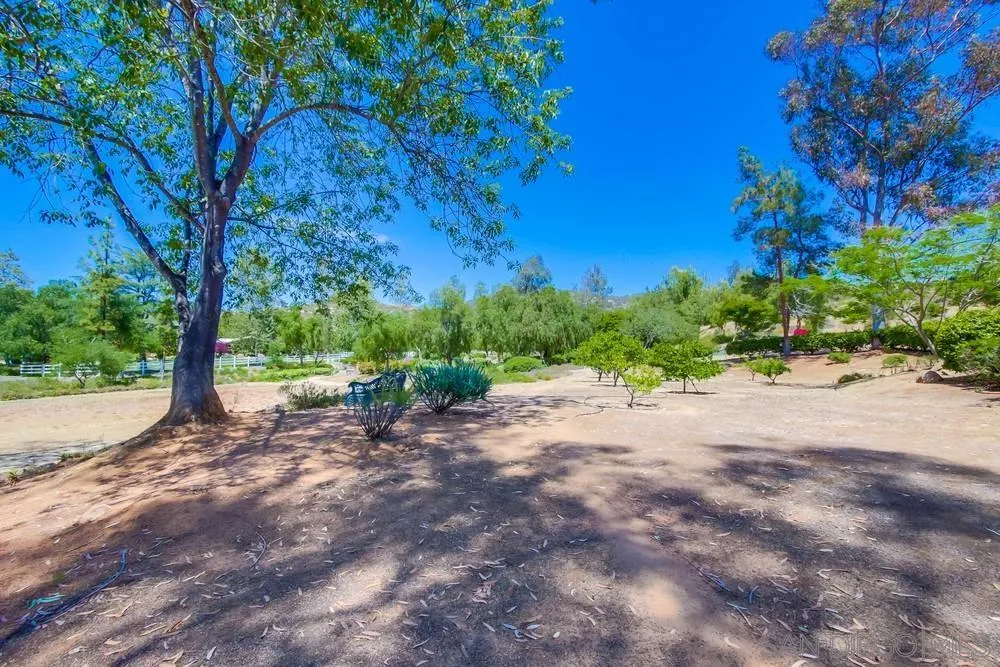 13980 Millards Ranch Lane Poway, CA 92064 - Photo 54 of 75 a view of a yard with a tree