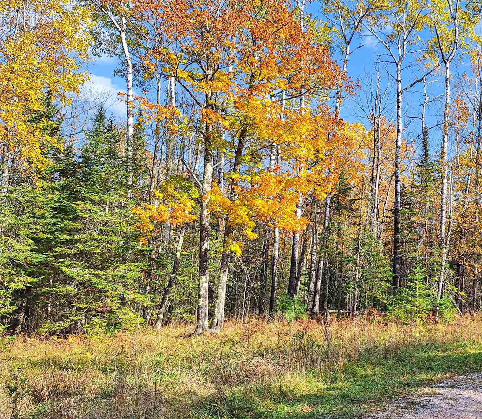 Lot 3-block Raspberry Trail La Pointe, WI 54850 - Photo 6 of 10