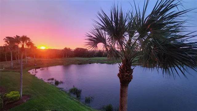 a lake view with palm trees