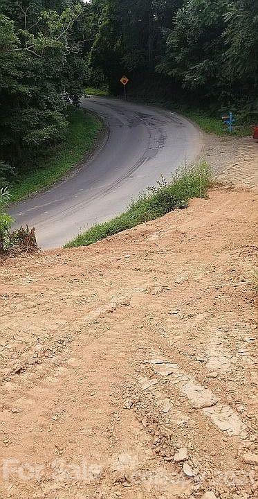 737 Pearson Bridge Road Asheville, NC 28806 - Photo 2 of 3 Gallery Image 2