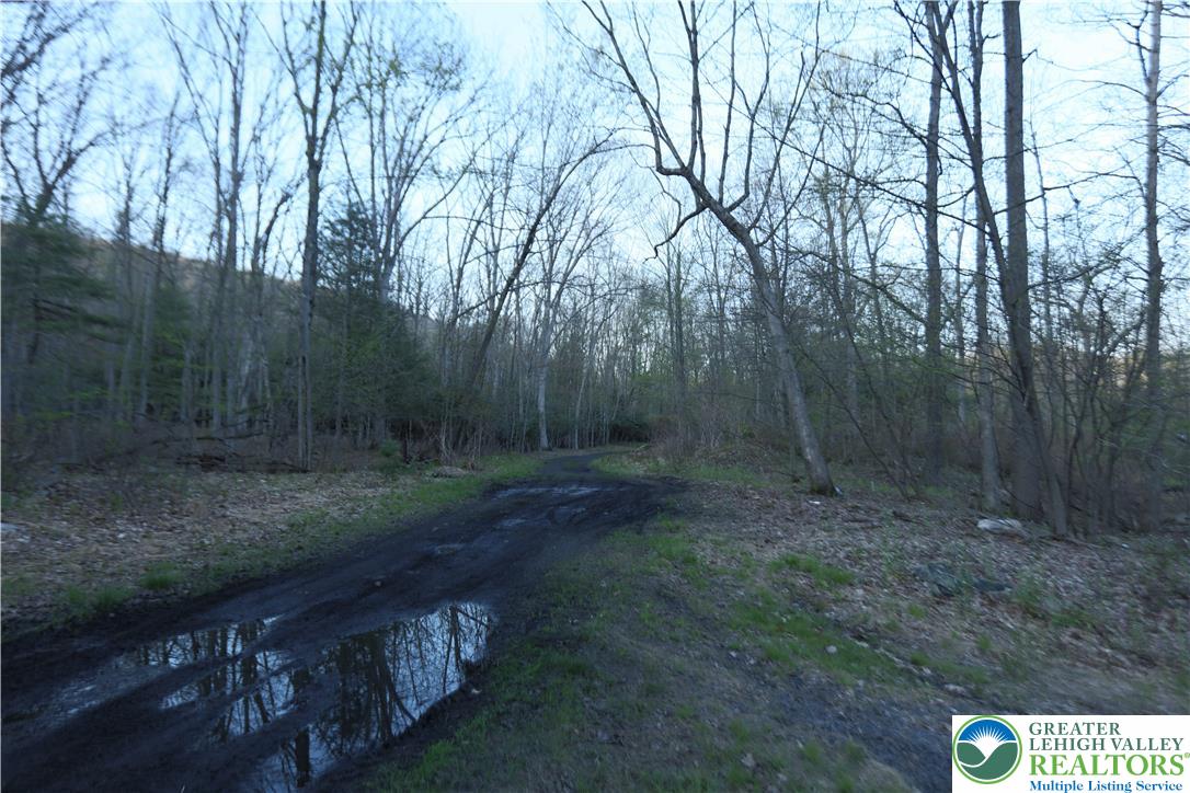 5444 Quakake Road Weatherly, PA 18255 - Photo 17 of 21 Discover a tranquil forest setting with a secluded road, offering a private retreat amidst nature's embrace.