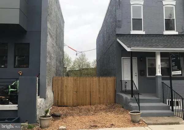 a view of a forest filled with trees