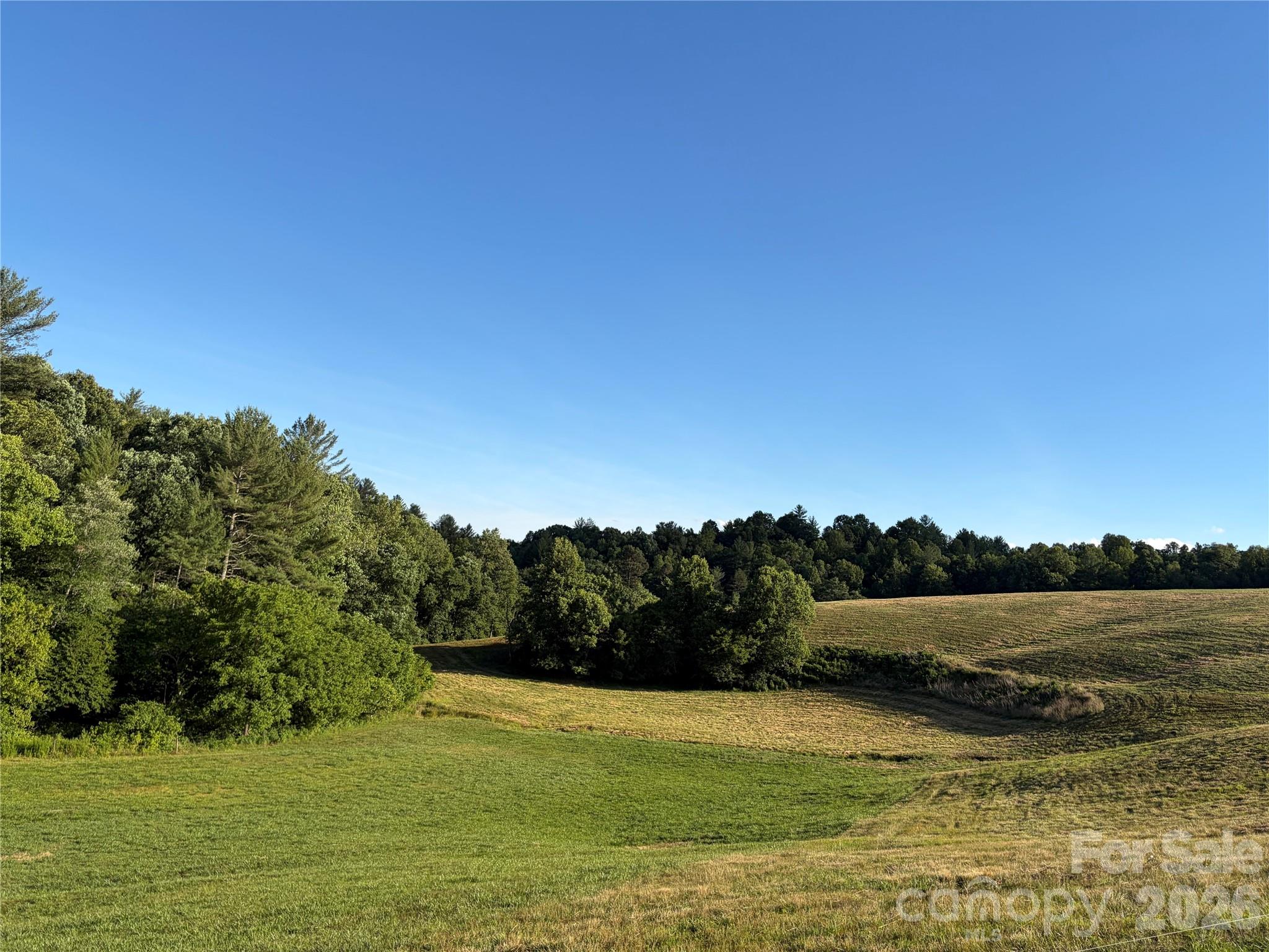 1779 Roundhill Church Road Traphill, NC 28685 - Photo 40 of 41