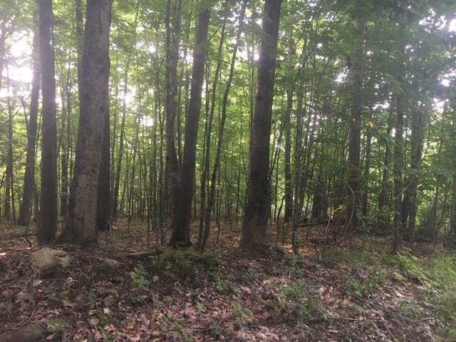0 Oak Hill Road Kents Hill, ME 04349 - Photo 6 of 10 Photo