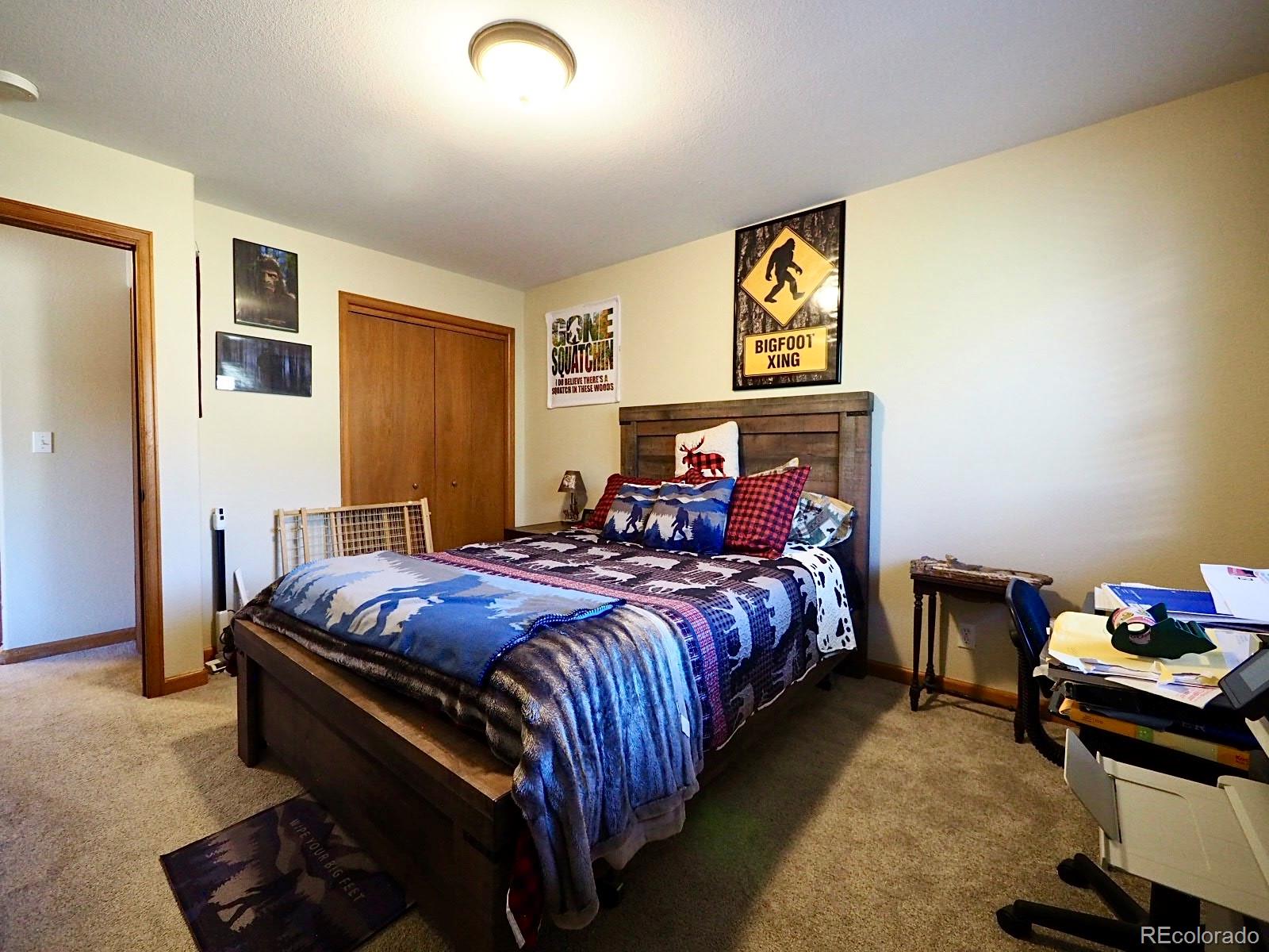 209 Wisp Creek Drive Bailey, CO 80421 - Photo 17 of 25