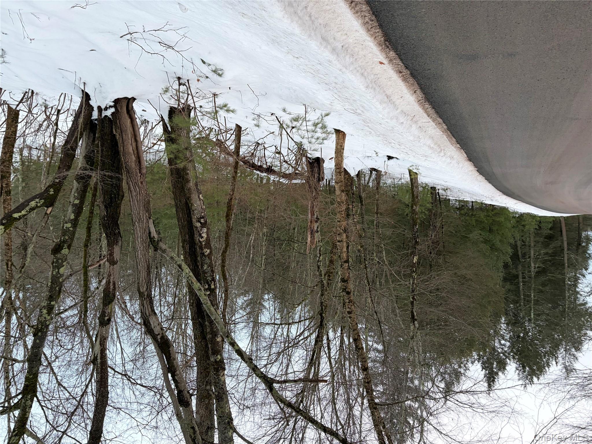 0 Moscoe Road Bethel, NY 12720 - Photo 6 of 8 a view of a backyard with a snow