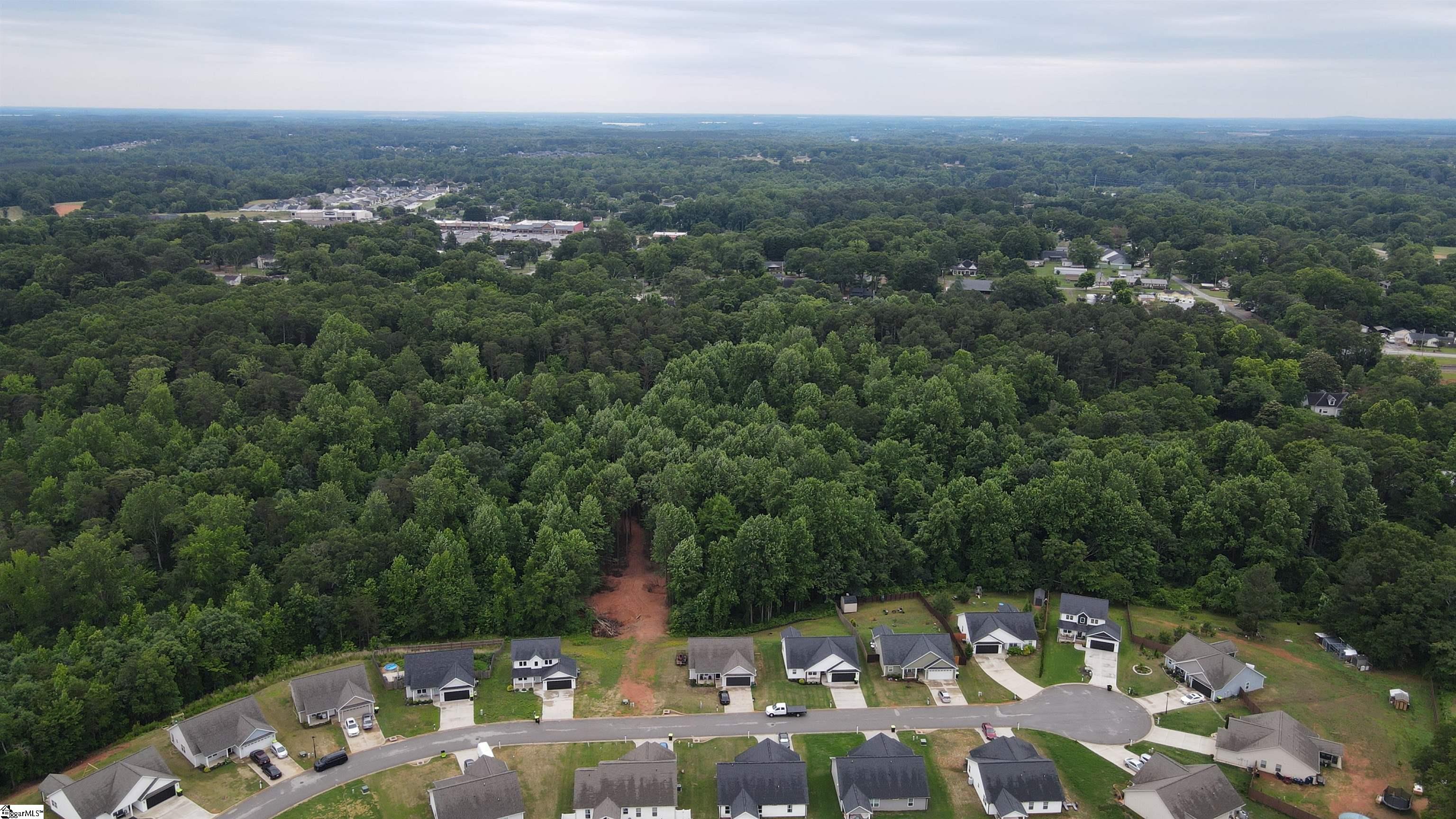 3161 Lorenzo Court Inman, SC 29349 - Photo 24 of 26