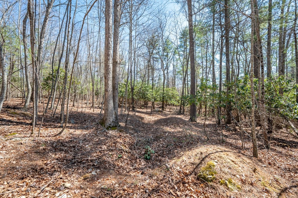 Lot 12 Ridge Line Trail, Unit 12 Independence, VA 24348 - Photo 10 of 66 Gallery Image 10