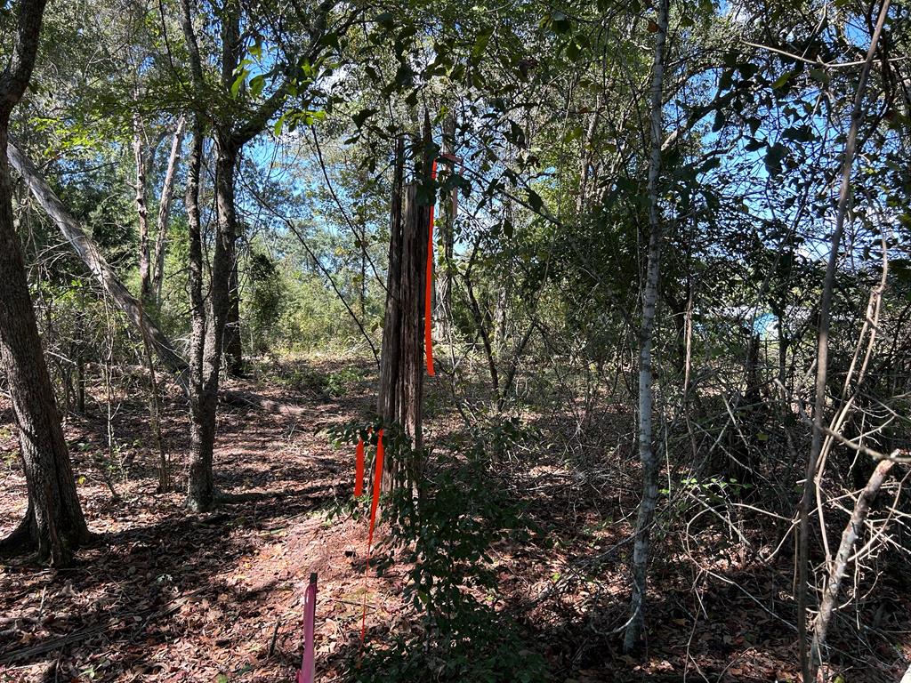 1.9-ac Barnes Road Gordon, AL 36343 - Photo 23 of 28