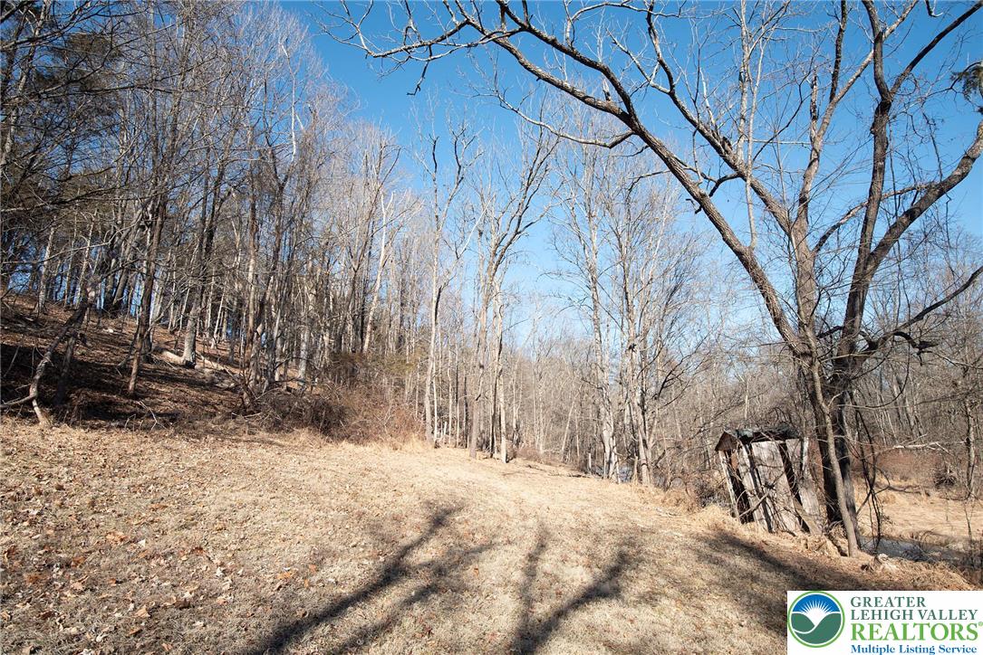 1025 Reihman Road Green Lane, PA 18054 - Photo 9 of 27