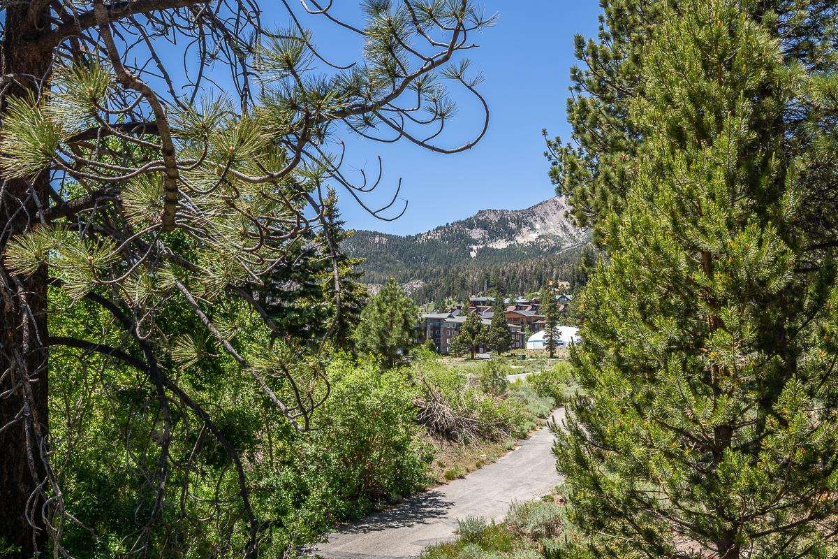 507 Monterey Pine Road Mammoth Lakes, CA 93546 - Photo 2 of 48 Gallery Image 2
