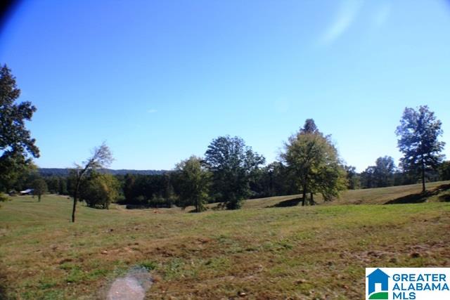 1785 Nunnally Lake Road Ohatchee, AL 36271 - Photo 43 of 50
