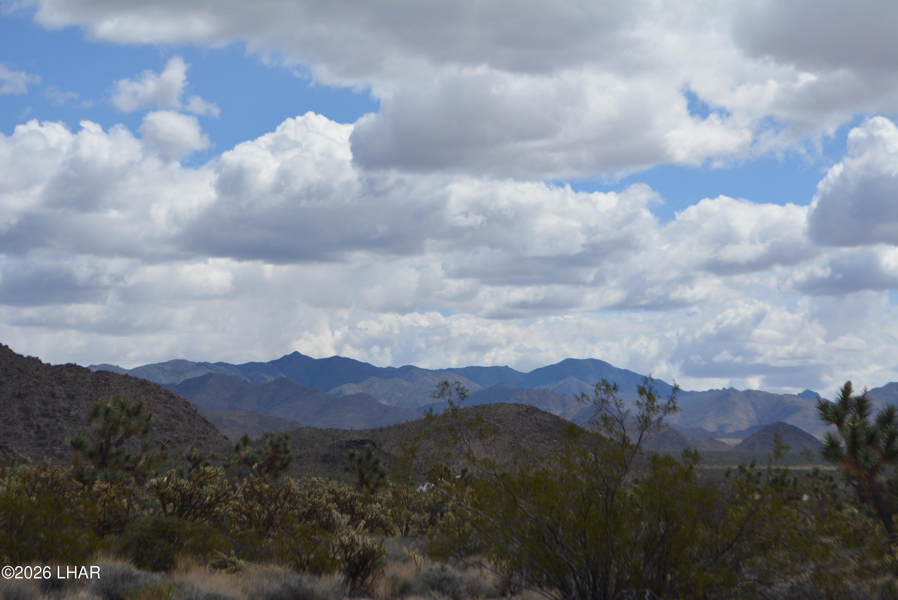 11900 Alan Road Yucca, AZ 86438 - Photo 57 of 93 DSC_1406