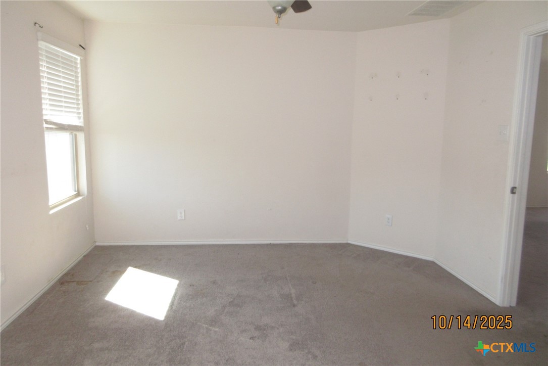 117 Open Sky Way, Unit 4D Jarrell, TX 76537 - Photo 27 of 36 an empty room with windows