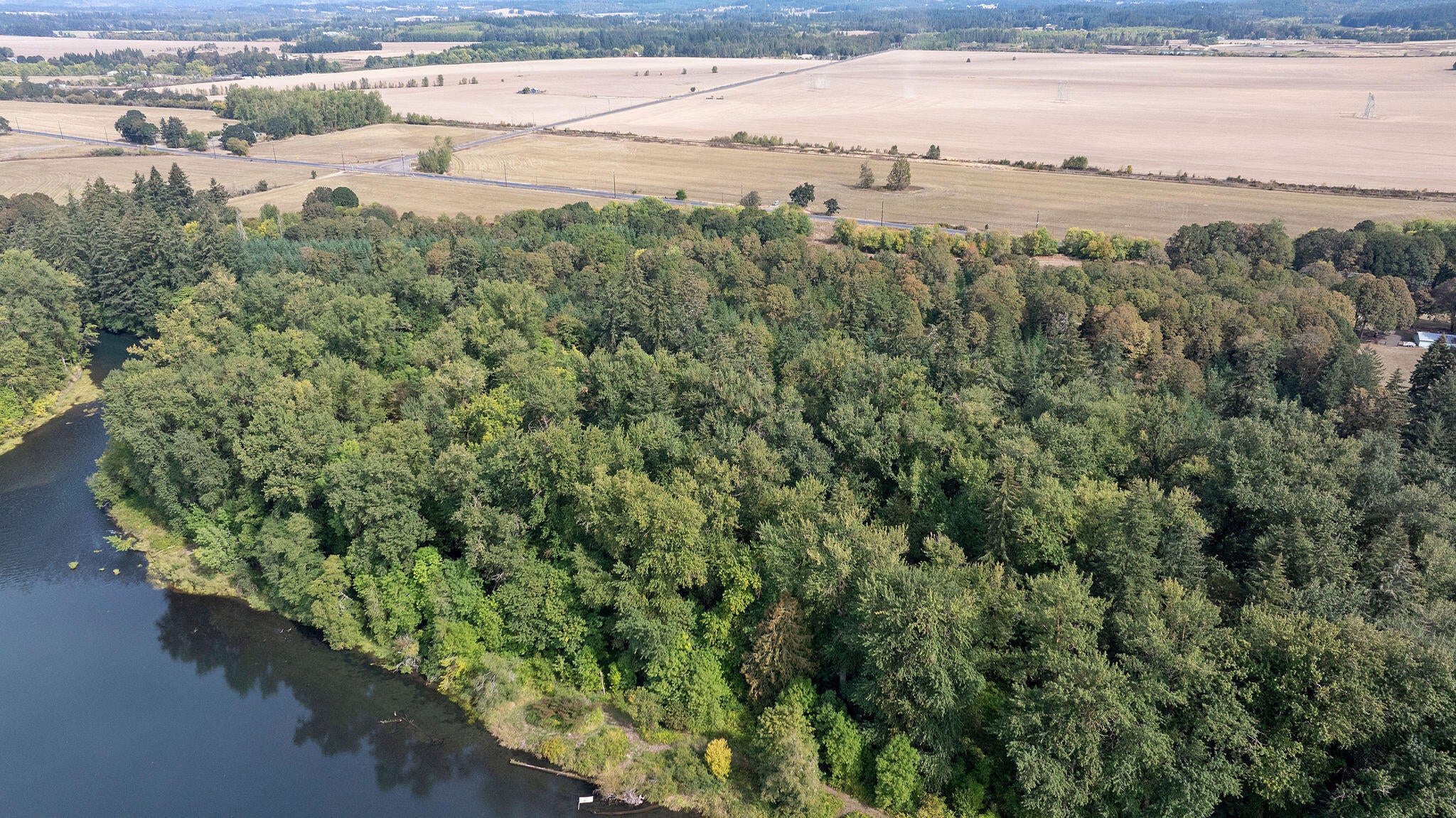 Tbd Brewster Road Lebanon, OR 97355 - Photo 8 of 19 DJI_20240922143251_0030_D