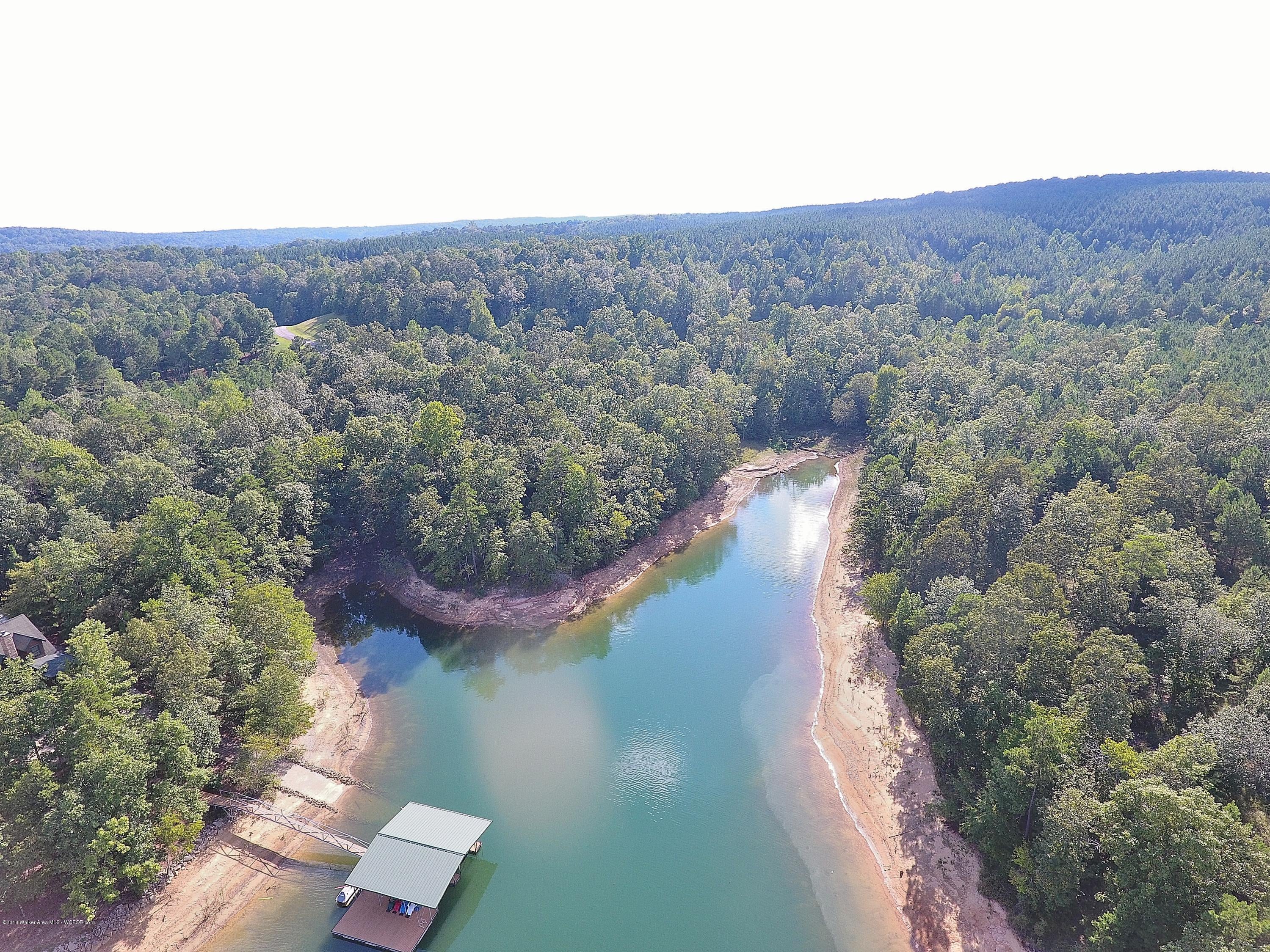 Lot 96 Stoney Pointe Road Double Springs, AL 35553 - Photo 5 of 7 Gallery Image 5