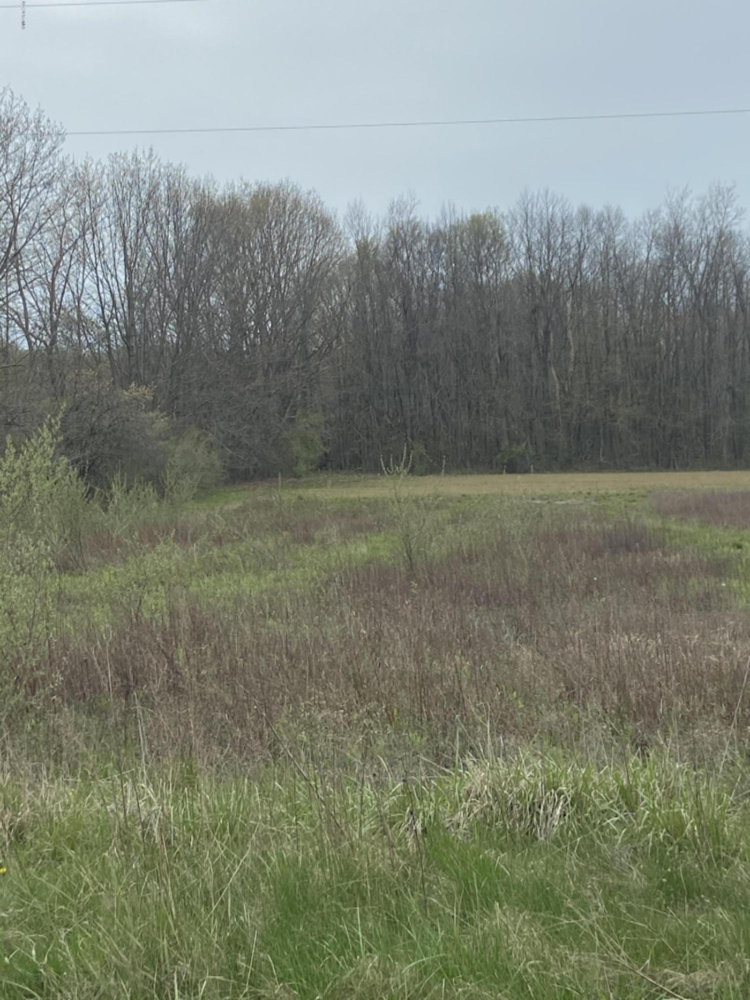 11674 Snow Road Bridgman, MI 49106 - Photo 1 of 3 IMG-7255