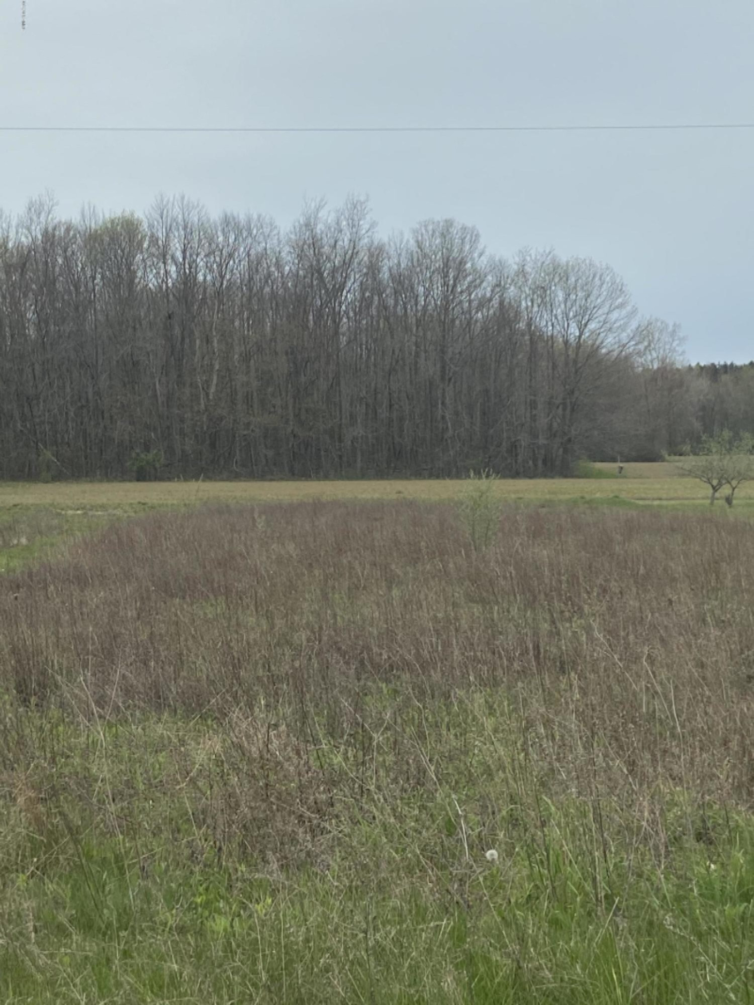 11674 Snow Road Bridgman, MI 49106 - Photo 3 of 3 IMG-7254
