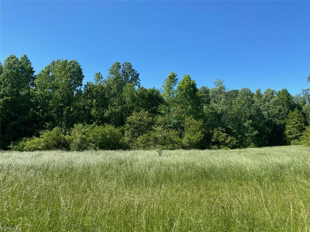 9 Brooksdale Road Staley, NC 27355 - Photo 1 of 1