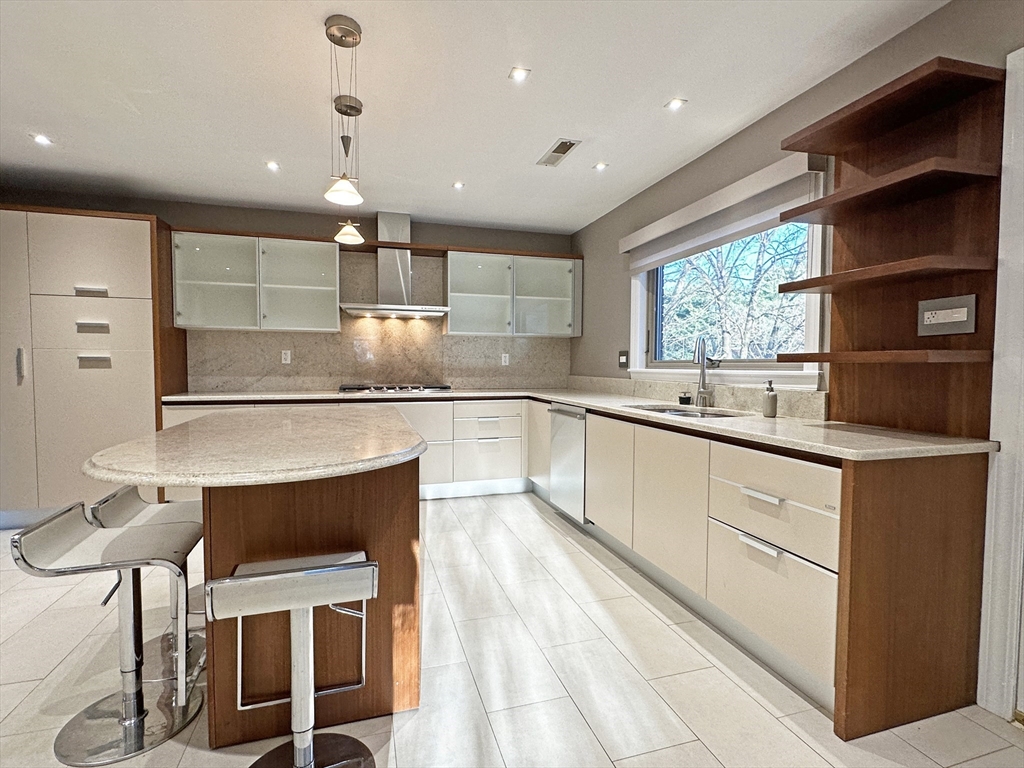 6 Brownson Terrace Boston, MA 02130 - Photo 14 of 38 a large kitchen with kitchen island a large counter top space a sink stainless steel appliances and windows