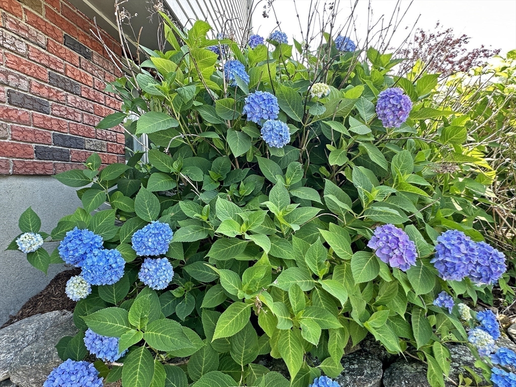 6 Brownson Terrace Boston, MA 02130 - Photo 38 of 38