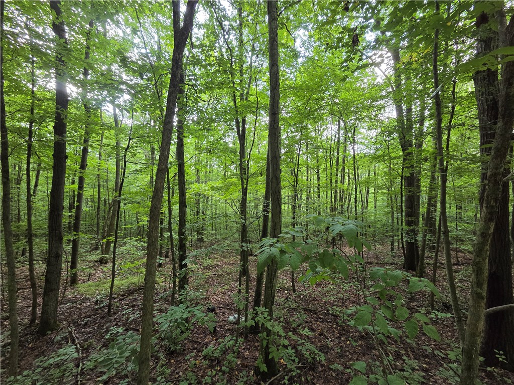 Bunnell Road Waverly, NY 14892 - Photo 40 of 49 Gallery Image 40