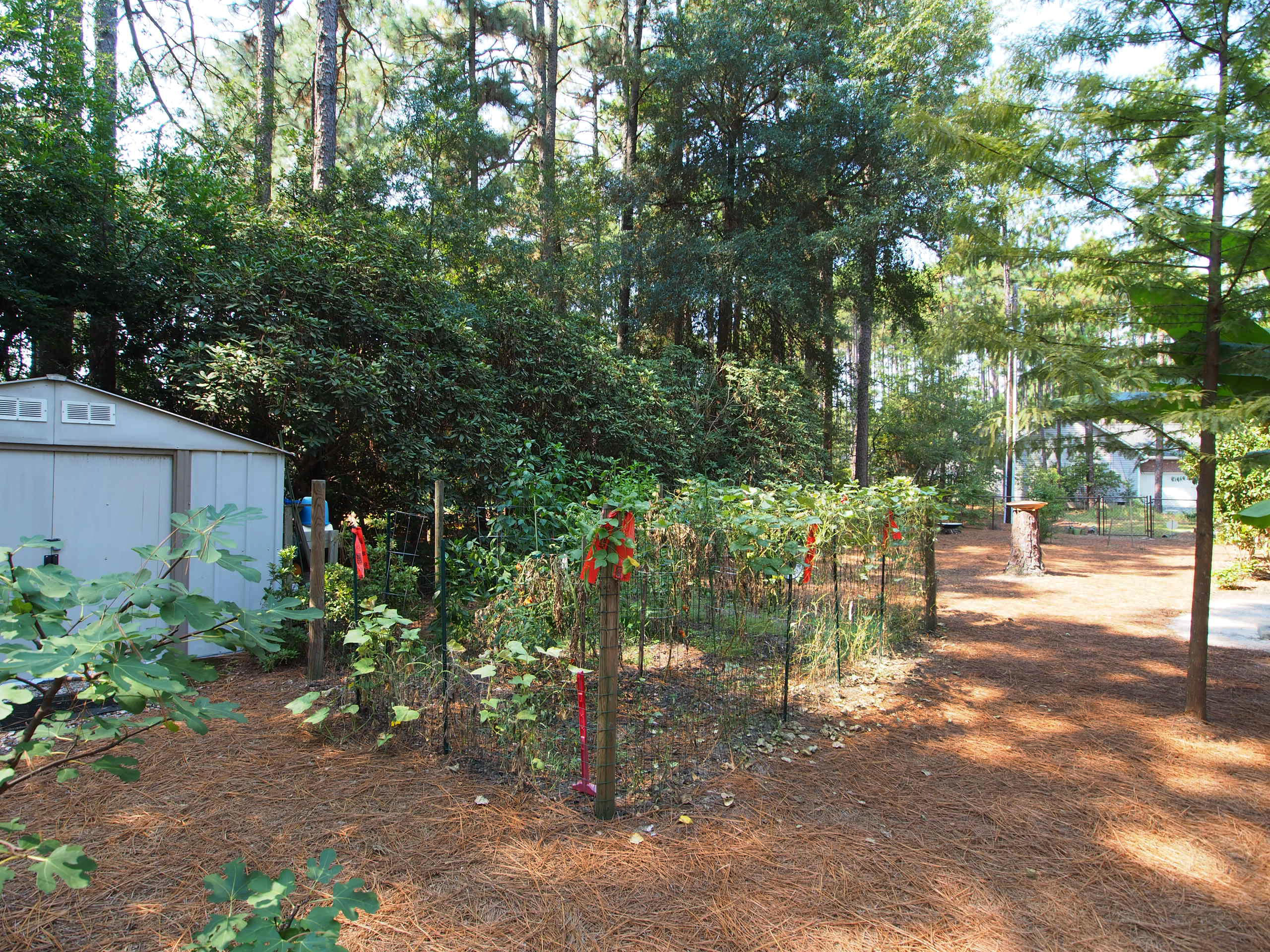 187 Turner Road Pinehurst, NC 28374 - Photo 24 of 27 yard2