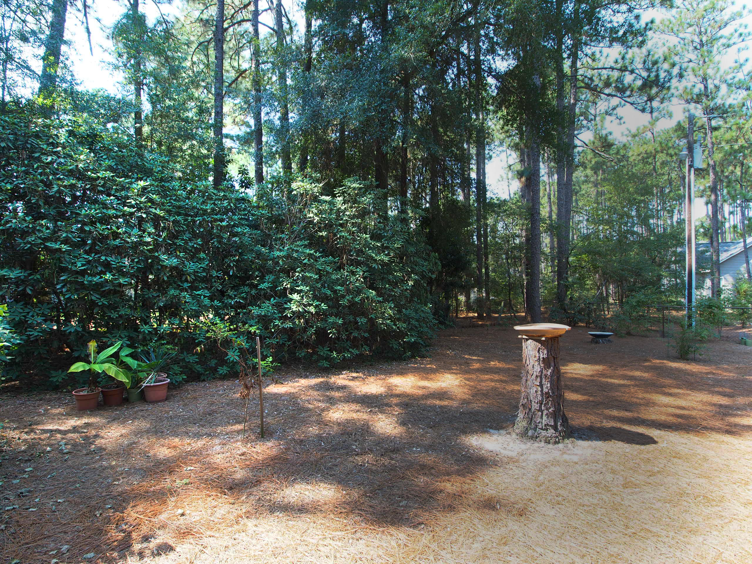 187 Turner Road Pinehurst, NC 28374 - Photo 25 of 27 yard3