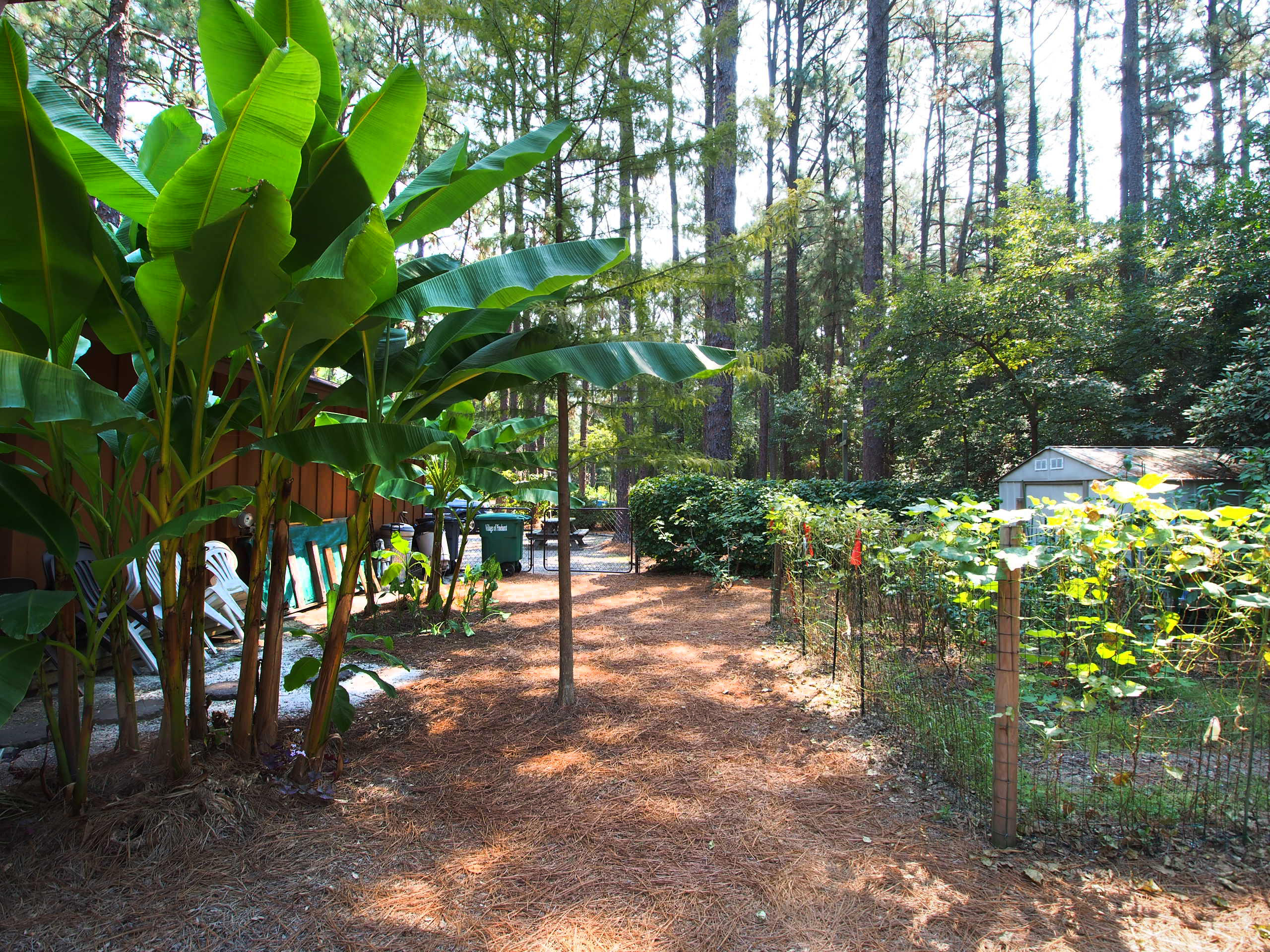 187 Turner Road Pinehurst, NC 28374 - Photo 27 of 27 yard6