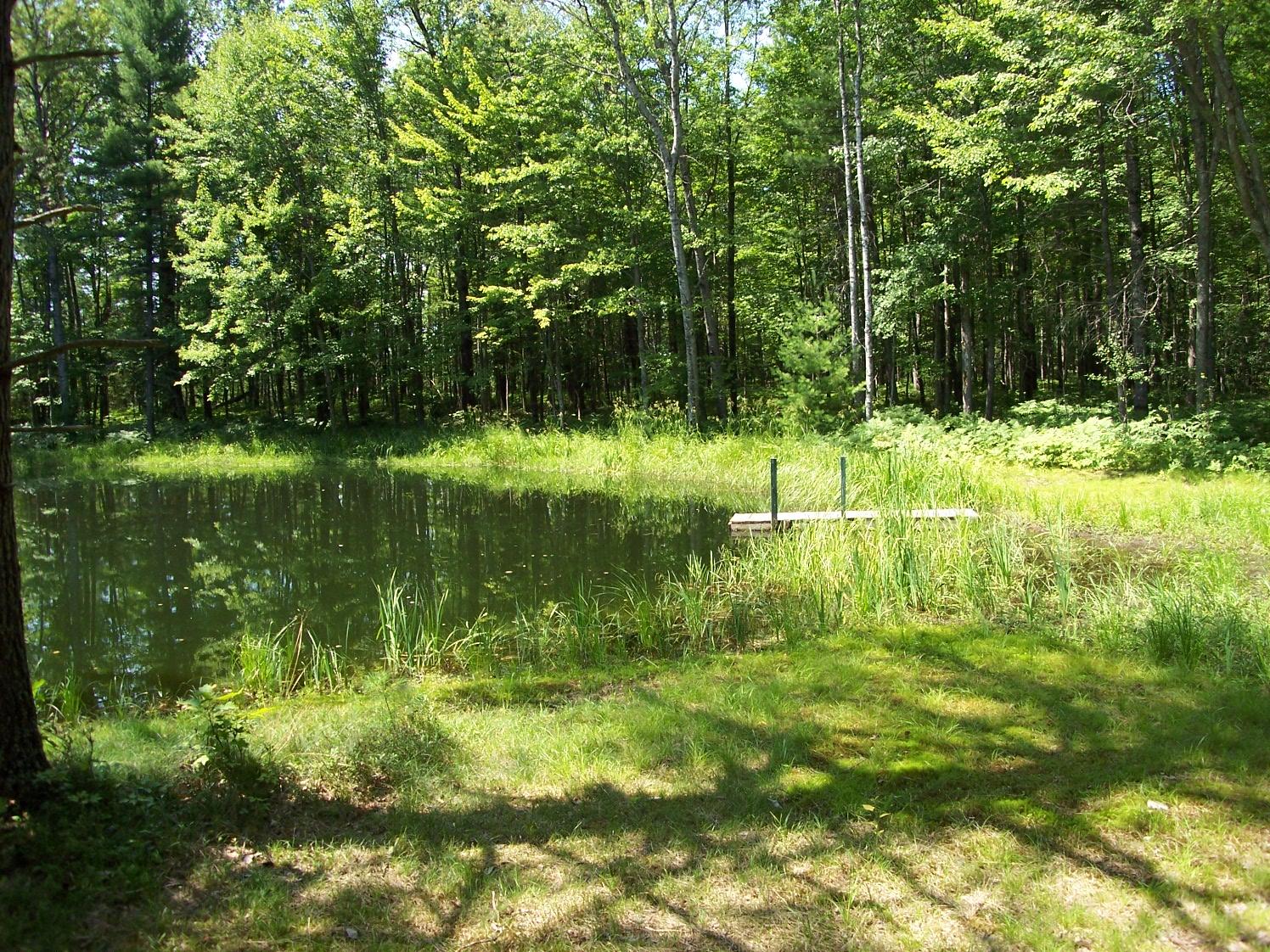 4297 North Red Oak Road Lewiston, MI 49756 - Photo 8 of 27 Gallery Image 8