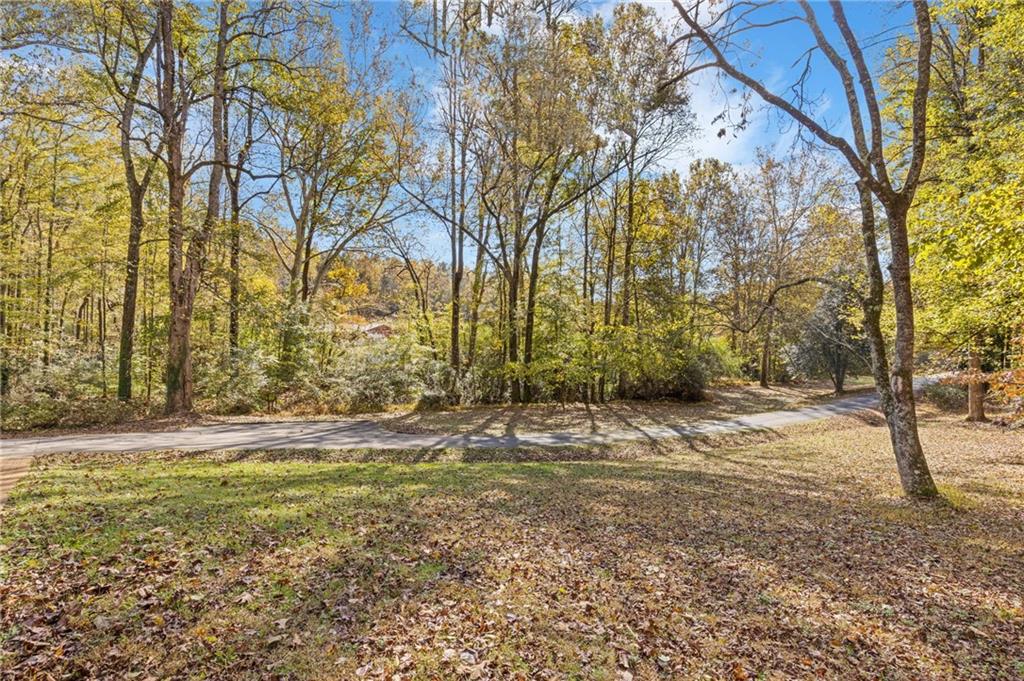 3740 Woodlane Road Gainesville, GA 30506 - Photo 50 of 74 a view of a yard with trees