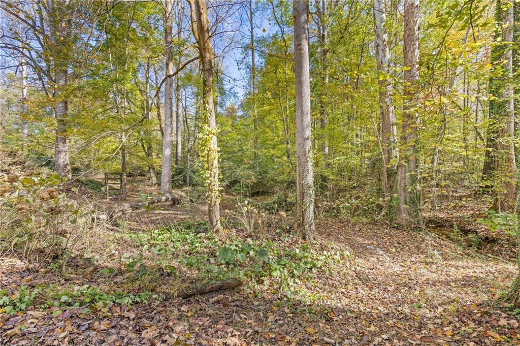 3740 Woodlane Road Gainesville, GA 30506 - Photo 51 of 74