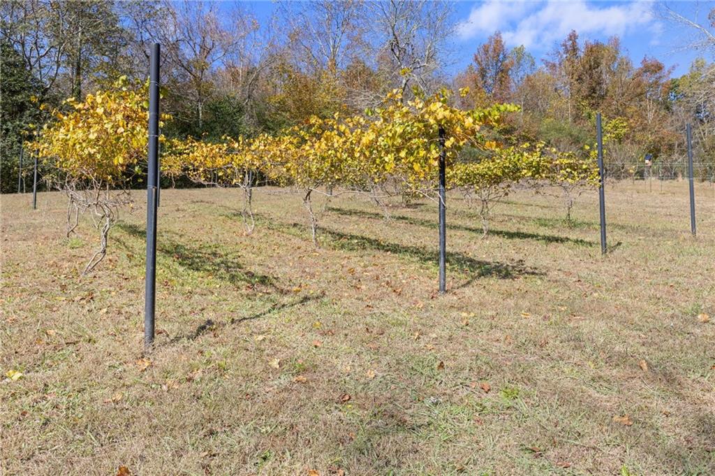 3740 Woodlane Road Gainesville, GA 30506 - Photo 57 of 70