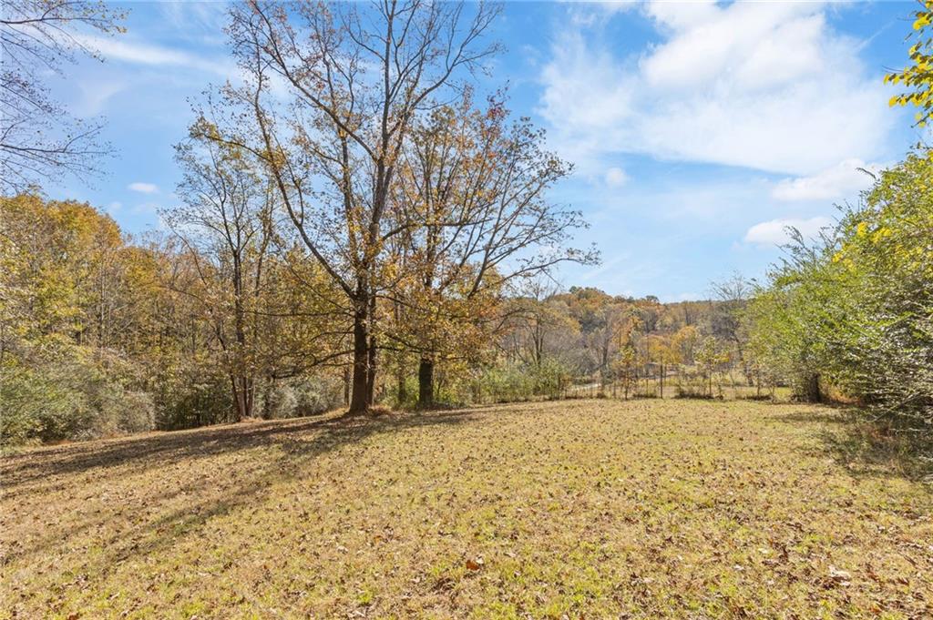 3740 Woodlane Road Gainesville, GA 30506 - Photo 62 of 74 a view of large yard with large trees