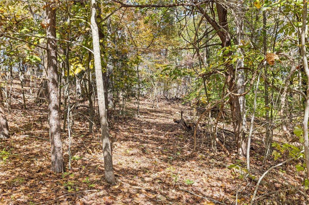 3740 Woodlane Road Gainesville, GA 30506 - Photo 64 of 74