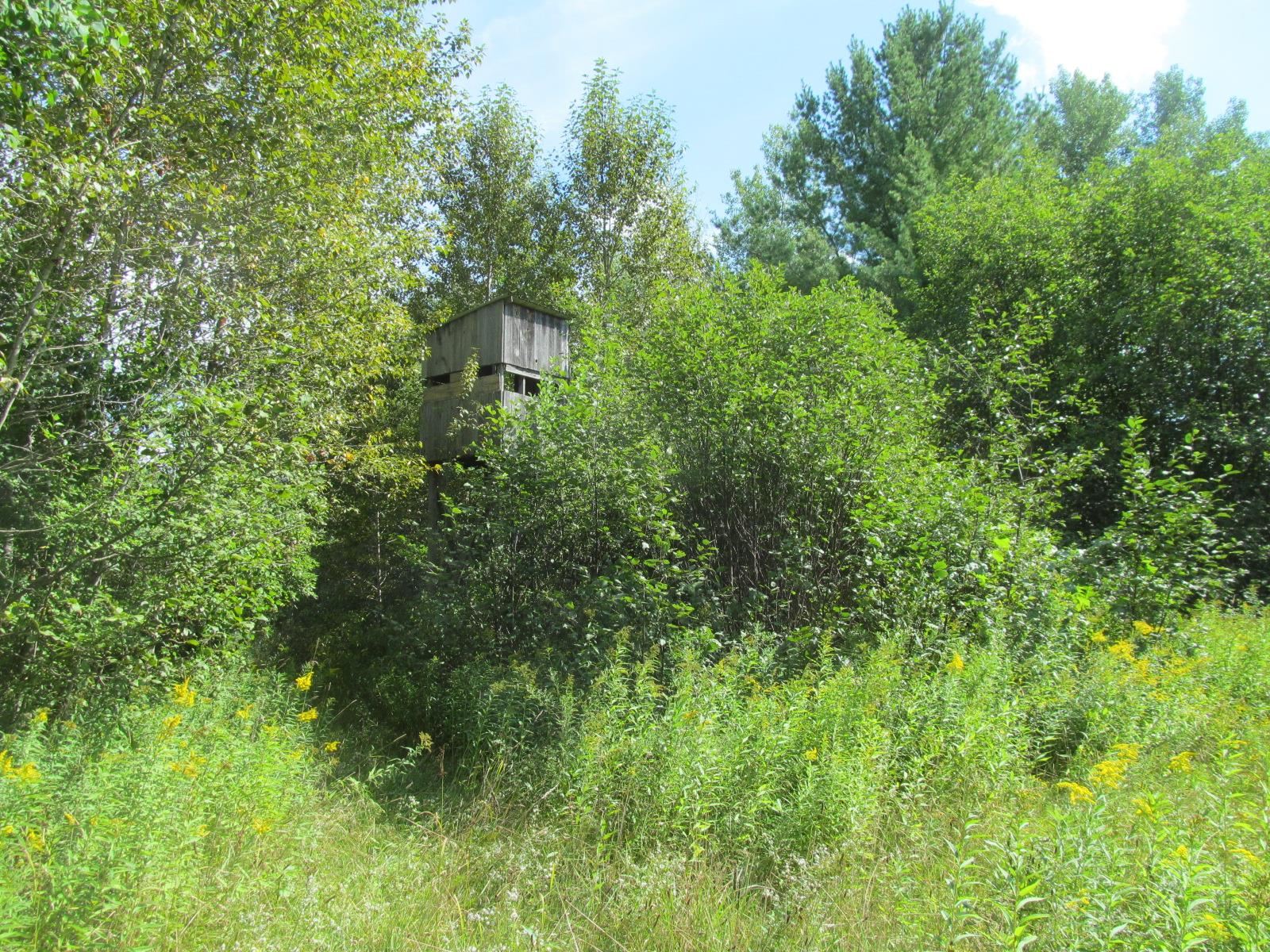 5981 North 41 1/2 Road Manton, MI 49663 - Photo 56 of 69